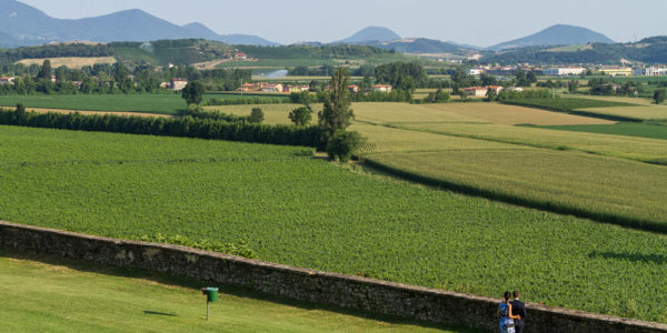 Vista dei campi vicentini e dei colli Berici dal prato di Villa di Montruglio, con coppia