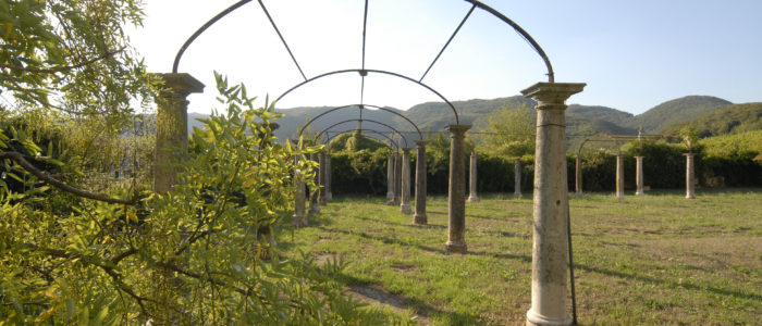 Vista del complesso delle colonne in prospettiva all'interno del Brolo della Villa di Montruglio.